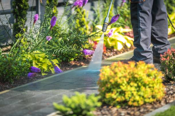 Freeport, TX Pressure Washing Services Company